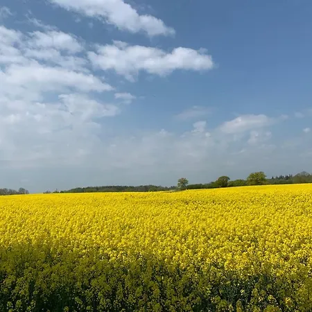 Dom wakacyjny Gutshof Rothensande Herrenhaus Waabs